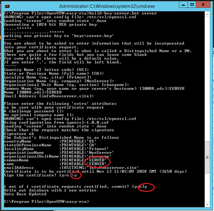 Setting up an Open VPN server on Windows Server 2008/2012